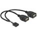 Delock kabel 2x USB 2.0 A samice na pinový konektor Delock kabel 2x USB 2.0 A samice na pinový konektor