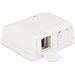 Delock Keystone Surface Mounted Box 2 Port with dust cover