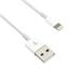 Kabel C-TECH USB 2.0 Lightning (IP5 a vyšší) nabíjecí a synchronizační kabel, 2m, bílý Kabel C-TECH USB 2.0 Lightning (IP5 a vyšší) nabíjecí a synchronizační kabel, 2m, bílý