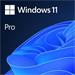 OEM Windows 11 Pro 64Bit Slovak 1pk DVD