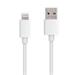 PremiumCord Lightning iPhone nabíjecí a synchronizační kabel, 8pin - USB A, 1m PremiumCord Lightning iPhone nabíjecí a synchronizační kabel, 8pin - USB A, 1m
